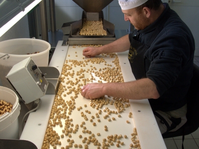 cernita manuale nocciole tostate piemonte igp laboratorio alta langa manual sorting roasted hazelnuts piedmont pgi laboratory cernita manuale nocciole tostate piemonte igp laboratorio alta langa manual sorting roasted hazelnuts piedmont pgi laboratory