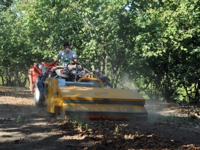 raccolta nocciole con macchina cravanzana produttori alta langa hazelnuts harvesting with machine producers